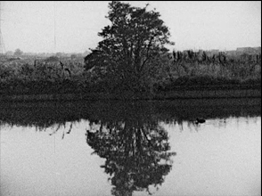 Tree Reflection (Lea Valley London 1997/8)